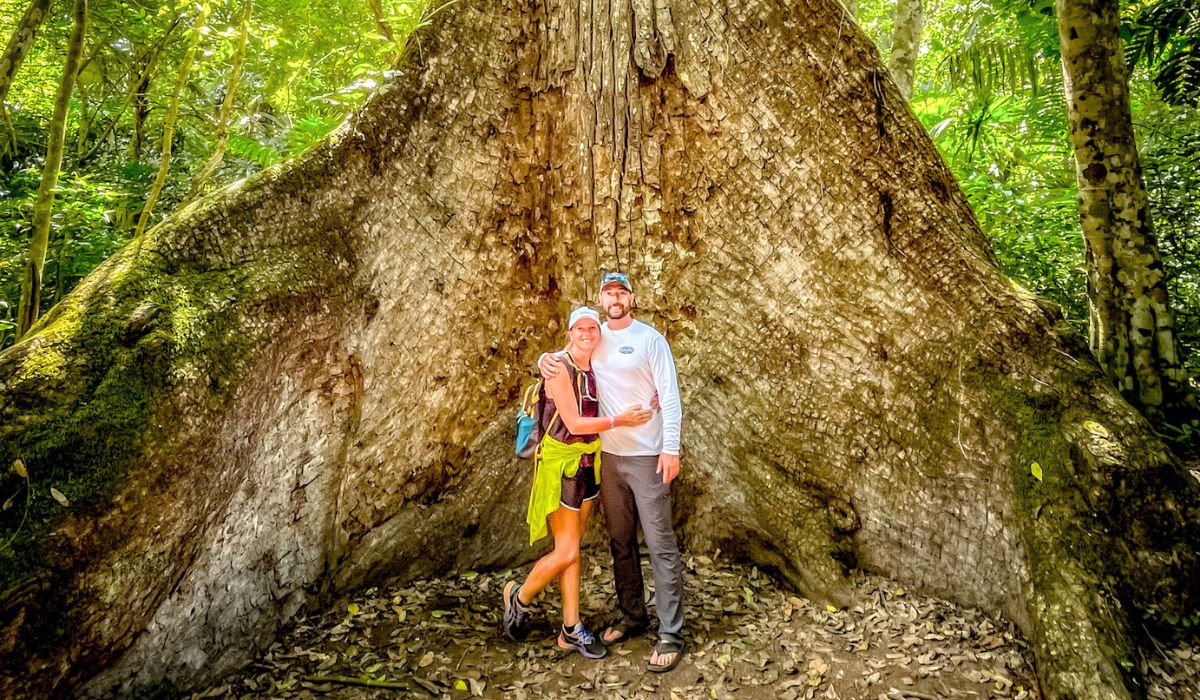 The image shows Kate and her husband standing in front of the massive roots of a giant tree in Tikal National Park. They are both smiling and embracing, surrounded by the dense, lush greenery of the jungle. The tree's enormous buttress roots spread out behind them, showcasing how big the jungle trees are.