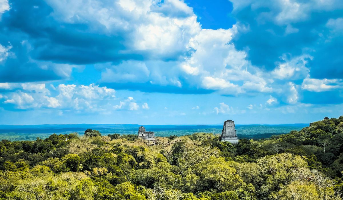 The image captures a breathtaking aerial view of the Tikal ruins, with the tops of ancient Mayan pyramids rising above the dense jungle canopy. The expansive green forest stretches out under a bright blue sky dotted with dramatic clouds.