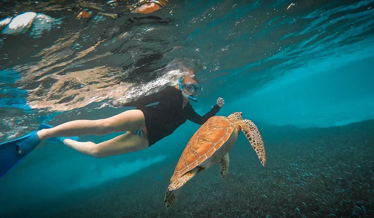 Kate swims alongside a sea turtle in the clear, shallow waters of Belize. She and the turtle move gracefully through the underwater seagrass, highlighting the close encounters with marine life.