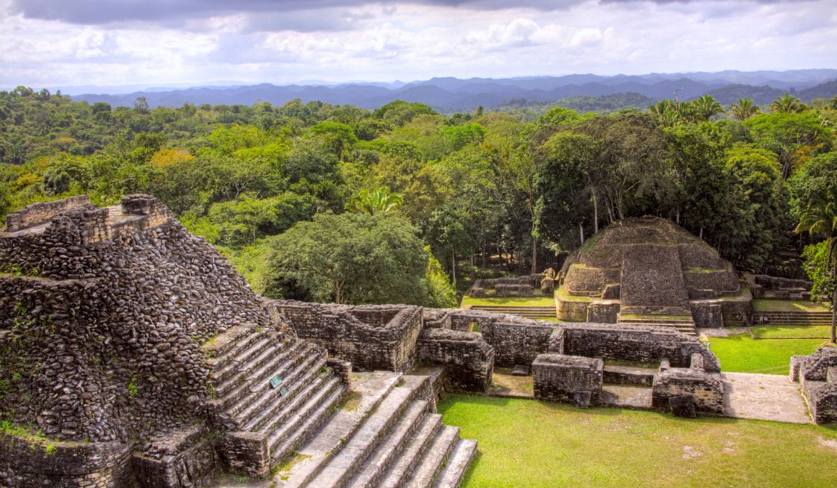 Ancient Mayan ruins surrounded by dense jungle vegetation at Caracol Archaeological Reserve in San Ignacio, Belize. The foreground features the weathered stone steps and structures of the main pyramid, with lush green trees extending into the distant horizon. 