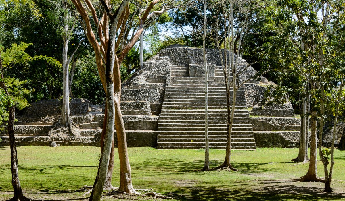 The image features Cahal Pech an ancient Mayan pyramid surrounded by trees and lush greenery. The stone structure, with its steep steps leading to a flat top, is part of an archaeological site near San Ignacio, Belize, showcasing the architectural prowess of the Mayan civilization.