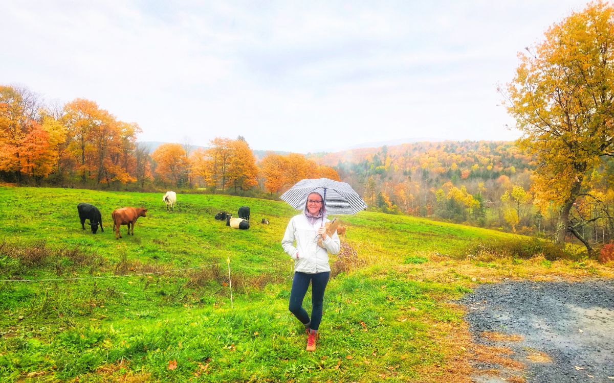 Kate smiling while holding an umbrella in a grassy field with grazing cows, surrounded by vibrant autumn trees in New England.