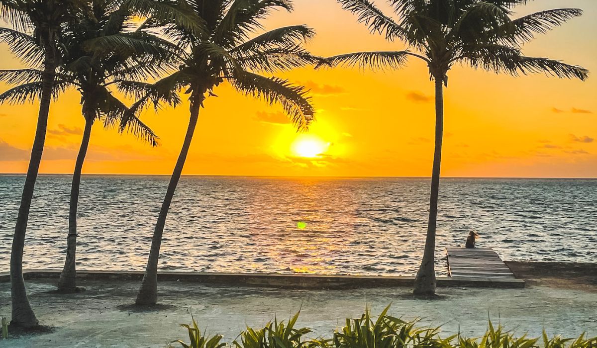 A breathtaking sunset over the Caribbean Sea in San Pedro, Belize, viewed from the shore framed by palm trees. A person sits at the end of a wooden pier, taking in the serene and picturesque scene.