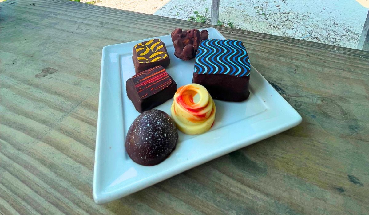 A selection of artisanal chocolates from the Belize Chocolate Company, beautifully arranged on a white plate. The vibrant designs and rich flavors of these handcrafted treats make it a must-visit spot.