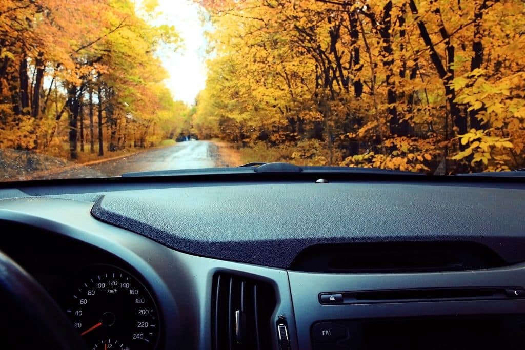 A view from inside a car, looking out through the windshield at a tree-lined road in the midst of autumn. The trees on both sides are filled with vibrant yellow and orange leaves, creating a tunnel of fall foliage. The peaceful, scenic drive captures the beauty of autumn in a wooded area.