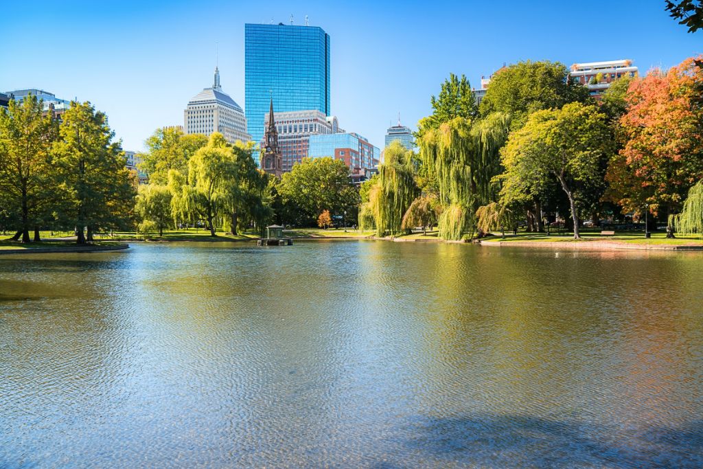 Boston Public Garden on a sunny day, featuring a calm pond surrounded by lush green trees, with the city skyline and modern skyscrapers in the background, creating a peaceful contrast between nature and urban life.