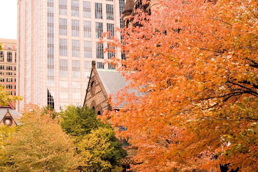 Boston in the fall, showcasing vibrant orange and yellow foliage in front of a blend of historic stone architecture and modern glass buildings. The autumn colors highlight the city’s picturesque blend of old and new.