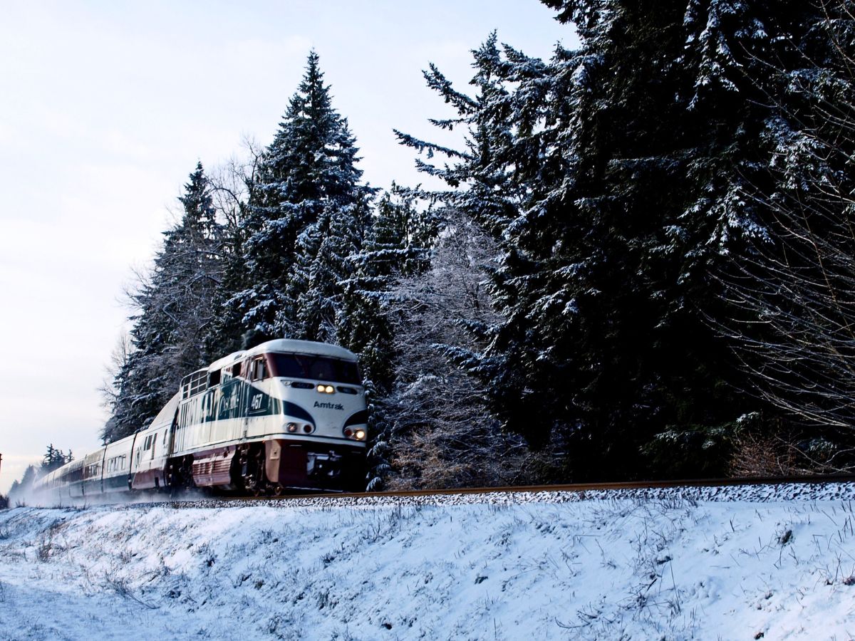 An Amtrak train travels through a snow-covered landscape, surrounded by tall evergreen trees dusted with snow. The train moves along the tracks in a wintery scene, creating a sense of motion as it passes by the quiet, forested area. The clear sky and snowy ground highlight the cold, serene environment.