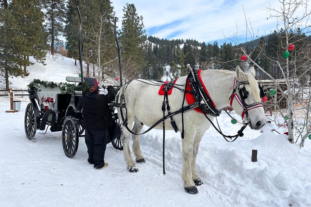 A festive horse-drawn carriage in a snowy setting, with a white horse decorated in red harnesses standing next to the carriage. The carriage itself is adorned with garlands, and the scene is set against a backdrop of snow-covered trees and hills, creating a charming winter ambiance.