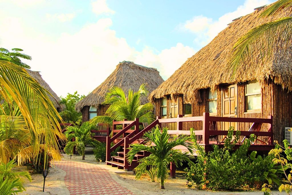 A row of rustic, thatched-roof cabanas at El Ben's Cabanas in Caye Caulker, Belize, surrounded by lush tropical plants and swaying palm trees. The cabanas feature wooden porches and staircases, connected by a winding, paved pathway that enhances the serene, island-style retreat atmosphere.