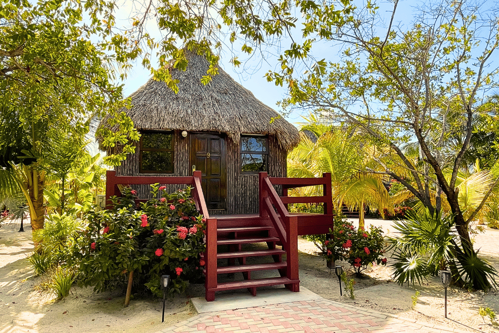 A charming, tropical hut at one of the Caye Caulker Hotels, featuring a thatched roof and surrounded by lush palm trees and vibrant red hibiscus flowers. The cozy wooden staircase and small porch add a rustic, inviting touch, ideal for an island retreat in Belize.