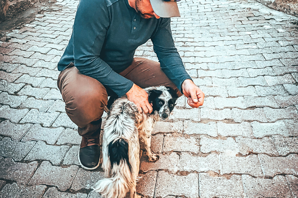 A man crouching on a cobblestone street in Turkey, gently petting a stray dog with black and white fur. 