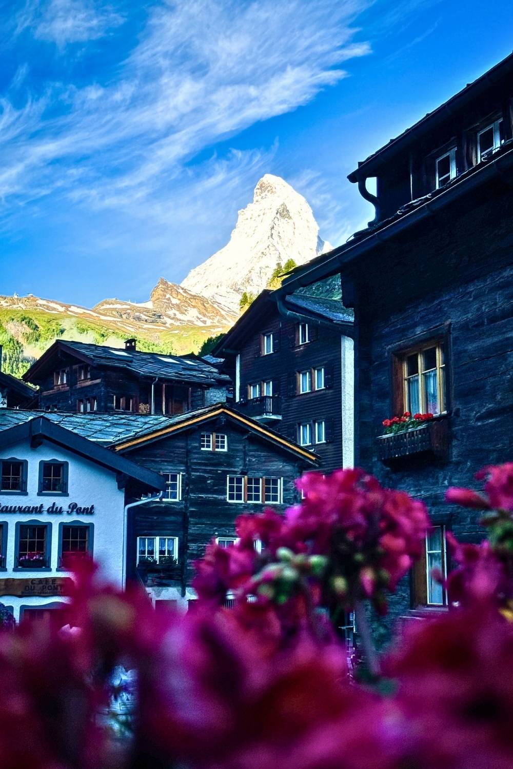 This image captures a charming scene in Zermatt, Switzerland, with vibrant pink flowers in the foreground, traditional alpine chalets in the middle, and the iconic Matterhorn peak rising majestically under a clear blue sky in the background.