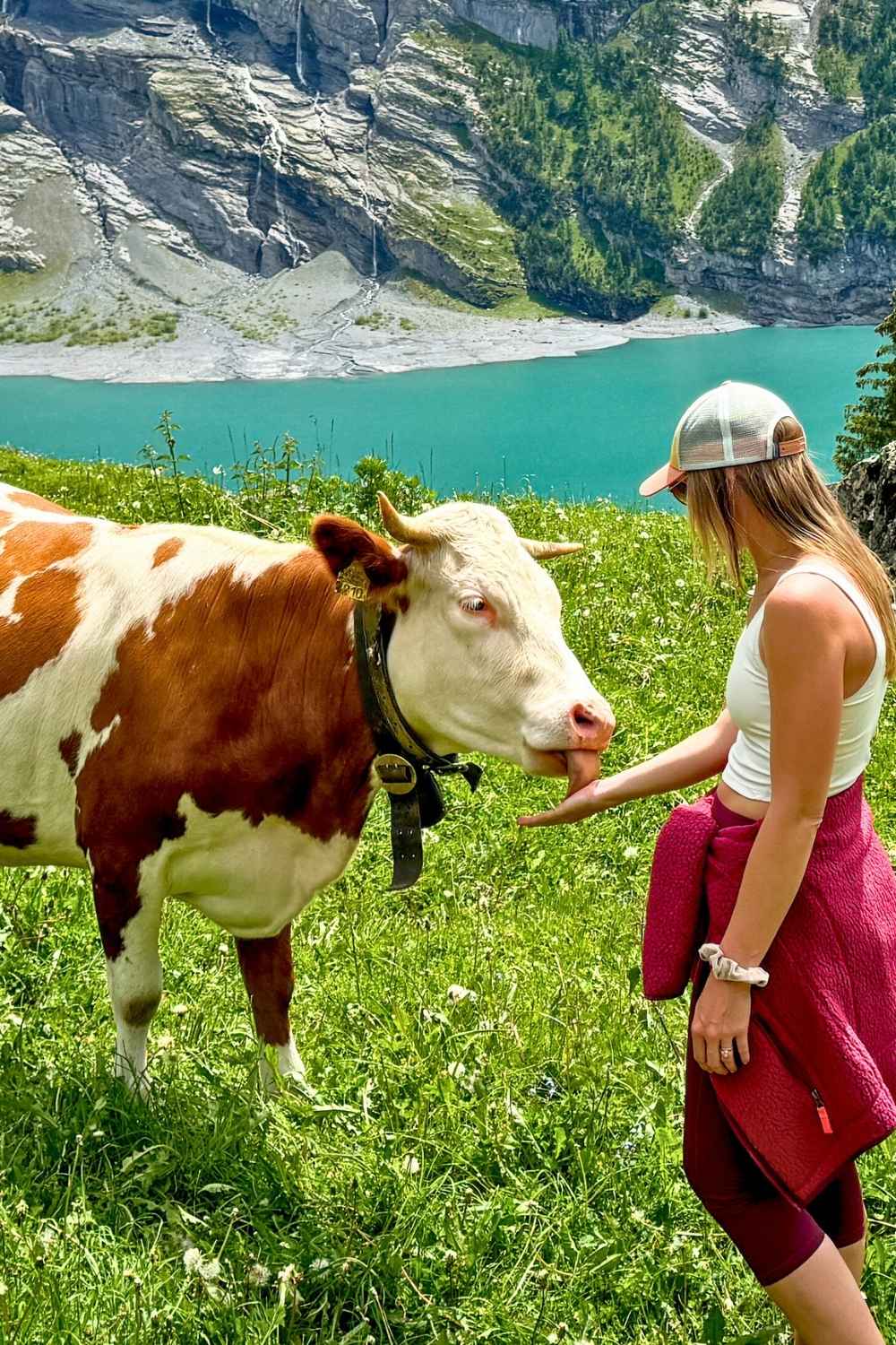 This image captures a serene moment at Oeschinensee Lake, Switzerland, where Kate interacts with a brown-and-white cow on a lush green meadow. The turquoise lake and dramatic mountain cliffs provide a stunning backdrop as the cow licks her hand. 