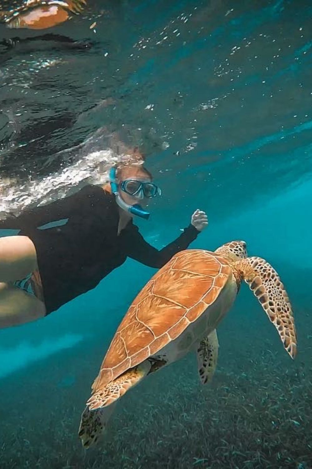 This photo shows Kate snorkeling along side a green sea turtle in the crystal clear turquoise waters of Belize.