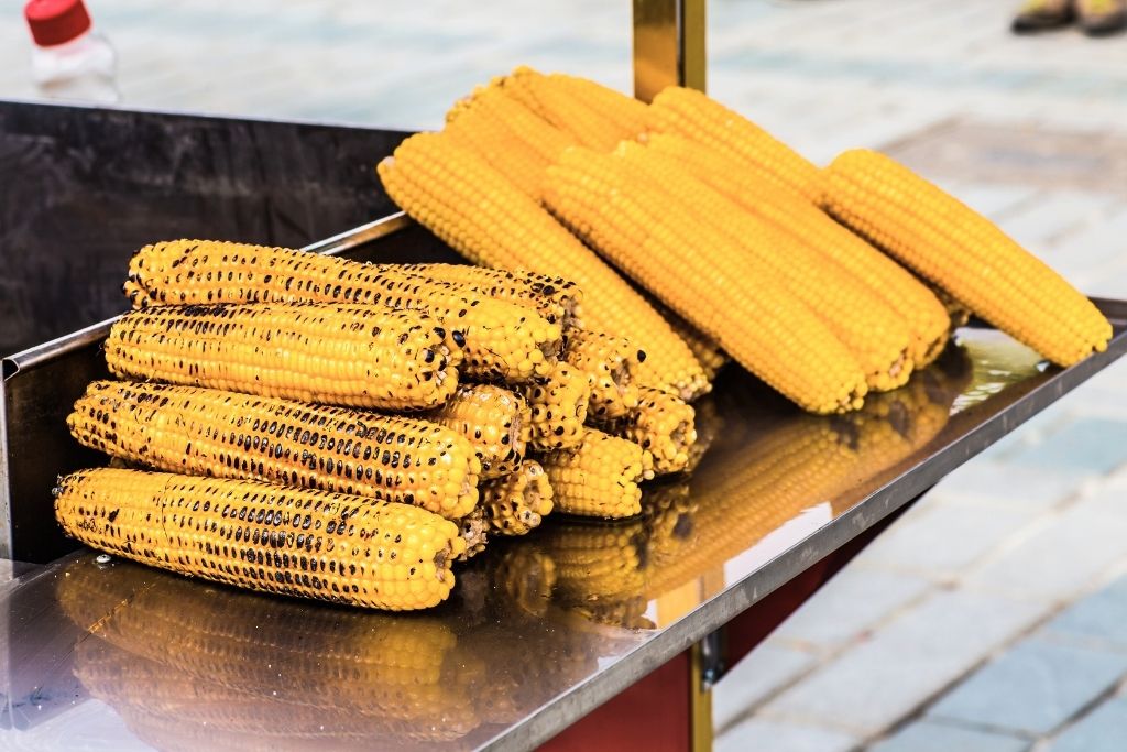 The image showcases a street vendor's display of mısır, or roasted corn on the cob, with a mix of golden charred and uncharred cobs neatly arranged on a metal surface.