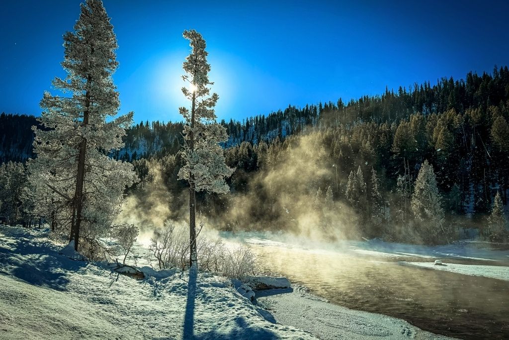 The Salmon River in Idaho flows through a snow-covered landscape, with steam rising from the water as the sun shines through frost-covered trees against a backdrop of dense evergreen forest.