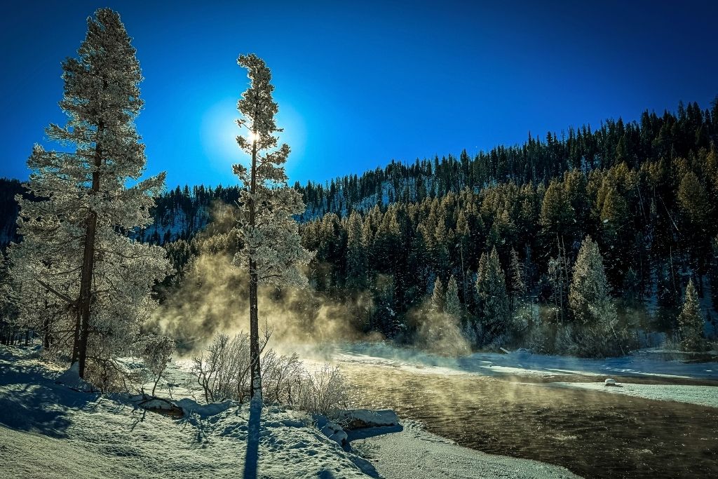 Steam rises from a partially frozen Salmon River surrounded by snow-covered trees and dense evergreen forest, as the bright winter sun shines through the trees on a clear blue sky day.