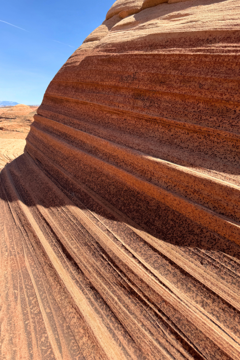 A detailed view of striated red sandstone along the Beehive Trail near Page, Arizona, showcasing the natural curves, lines, and textures formed by wind and erosion under bright desert sun.