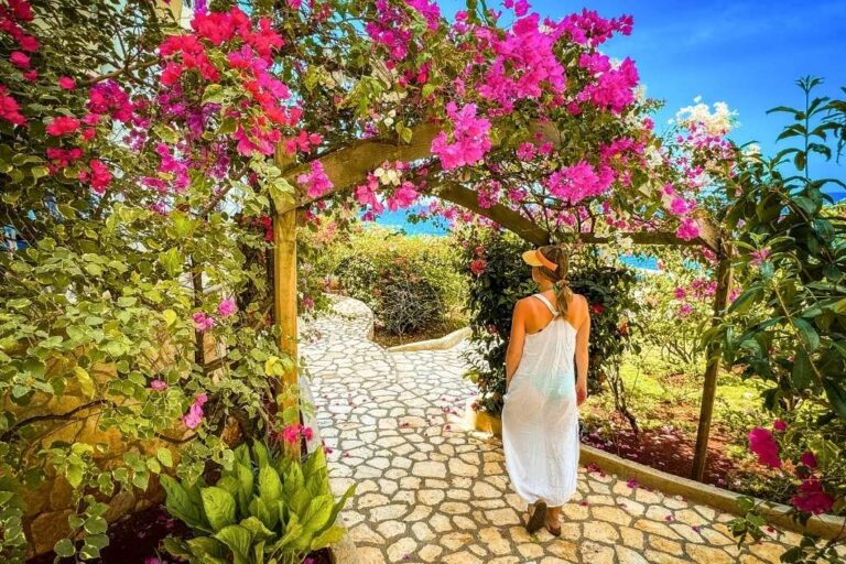 Where to Stay in Jamaica: Best Areas and Hotels for Every Budget