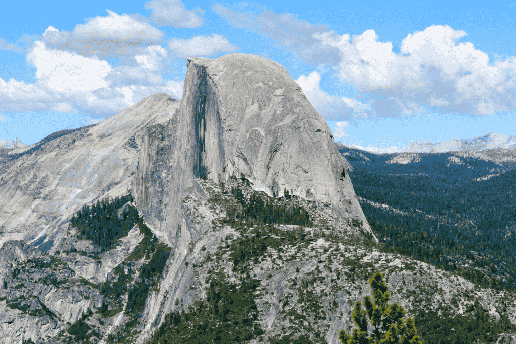 View of Half Dome’s iconic granite face rising above the forested Yosemite Valley under a bright blue sky dotted with fluffy clouds