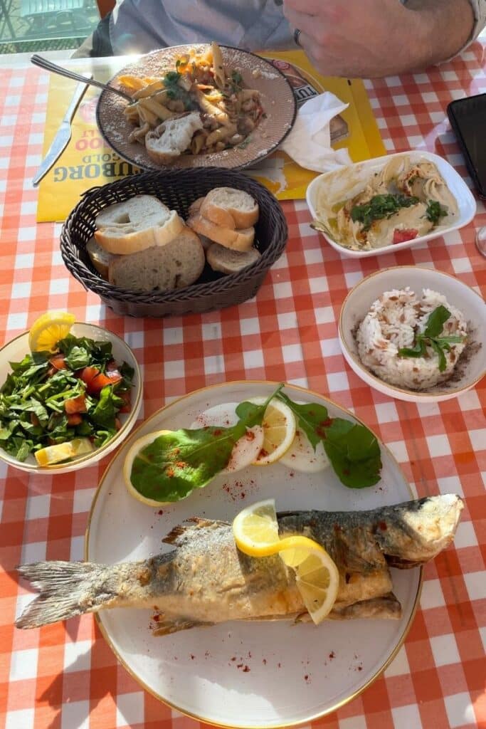 A traditional Turkish meal on a checkered tablecloth featuring grilled whole fish with lemon, fresh salad, rice, bread, and a plate of pasta with sautéed vegetables.