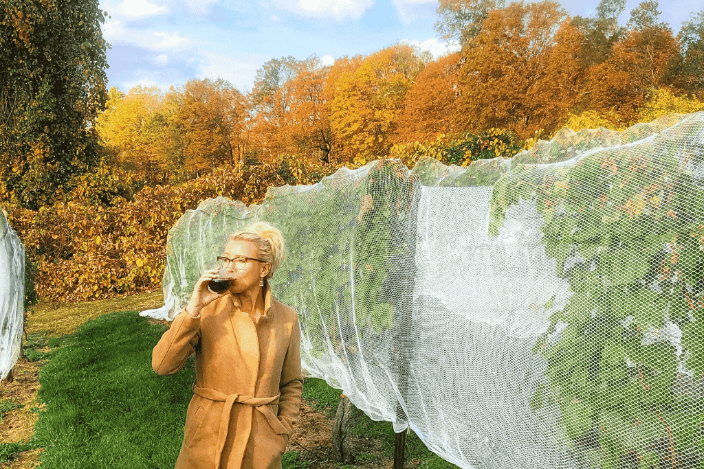 Kate sips wine while walking through a vineyard lined with grapevines covered in netting, framed by peak autumn foliage in the background.