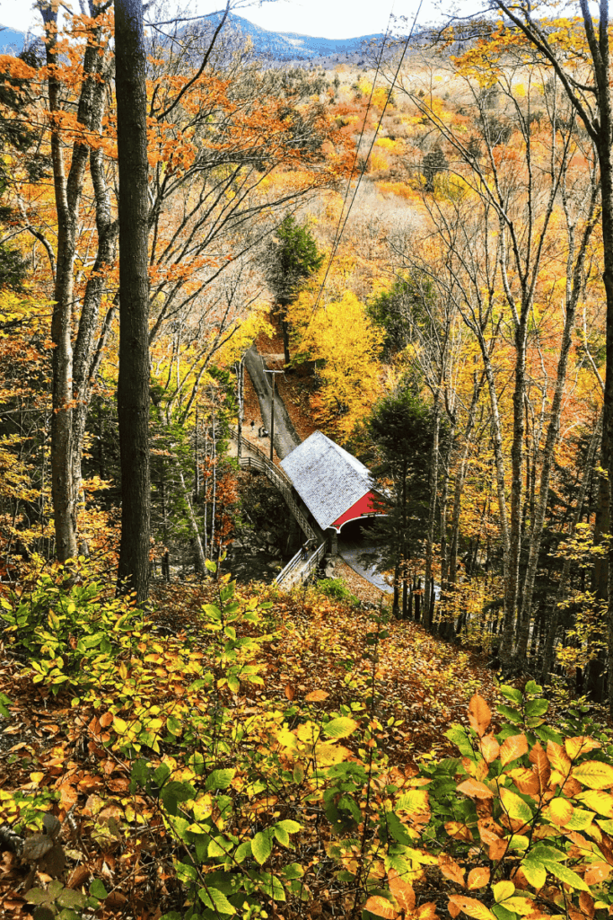 A red-roofed covered bridge sits tucked in a valley of golden and orange foliage in Franconia Notch State Park, viewed from a hilltop trail.