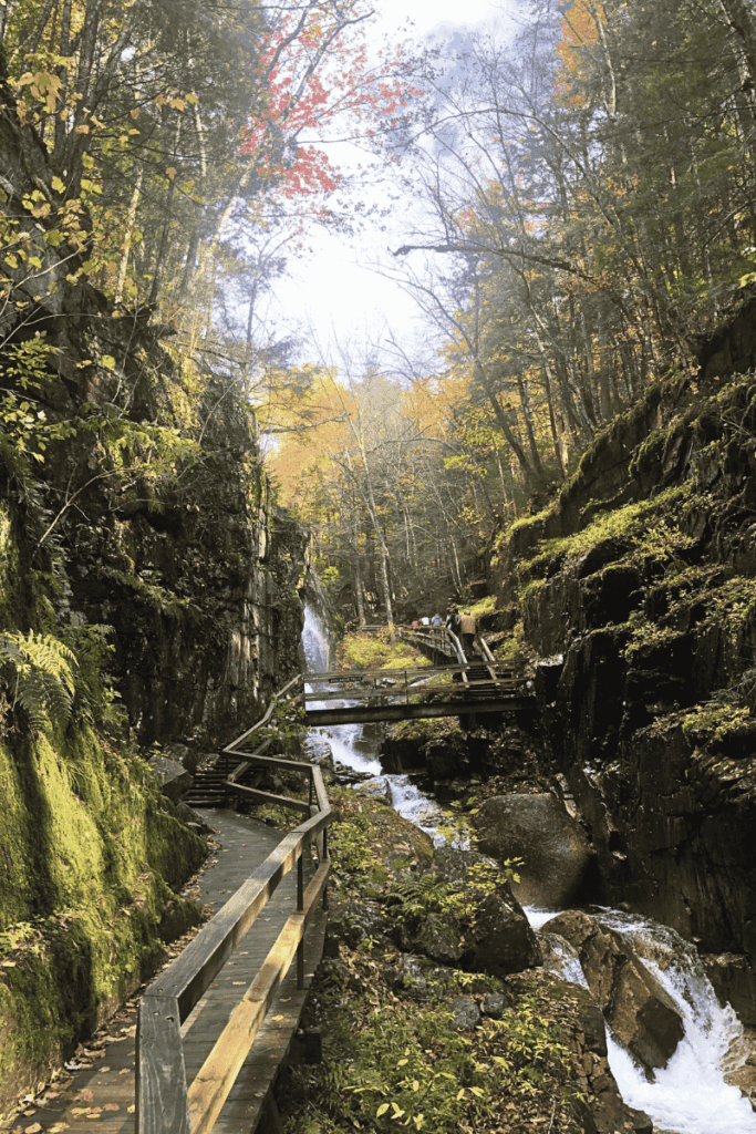 A wooden boardwalk winds through moss-covered cliffs and past a cascading waterfall deep within the forested Flume Gorge of Franconia Notch State Park.