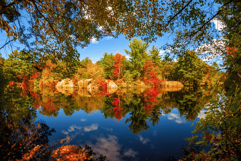 Brilliant fall foliage in shades of red, orange, and green reflects perfectly on the still surface of a forested lake framed by leafy branches.