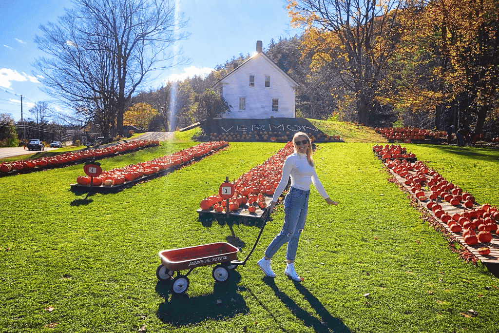 Kate smiles while pulling a red Radio Flyer wagon through a sunlit Vermont pumpkin patch, with rows of pumpkins stretching out in front of a white building and hillside that reads “VERMONT” in white gourds.
