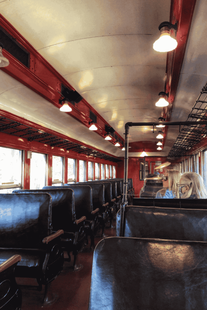 nside the historic Essex steam train, two passengers sit on classic black leather seats surrounded by red and cream trim and overhead luggage racks.