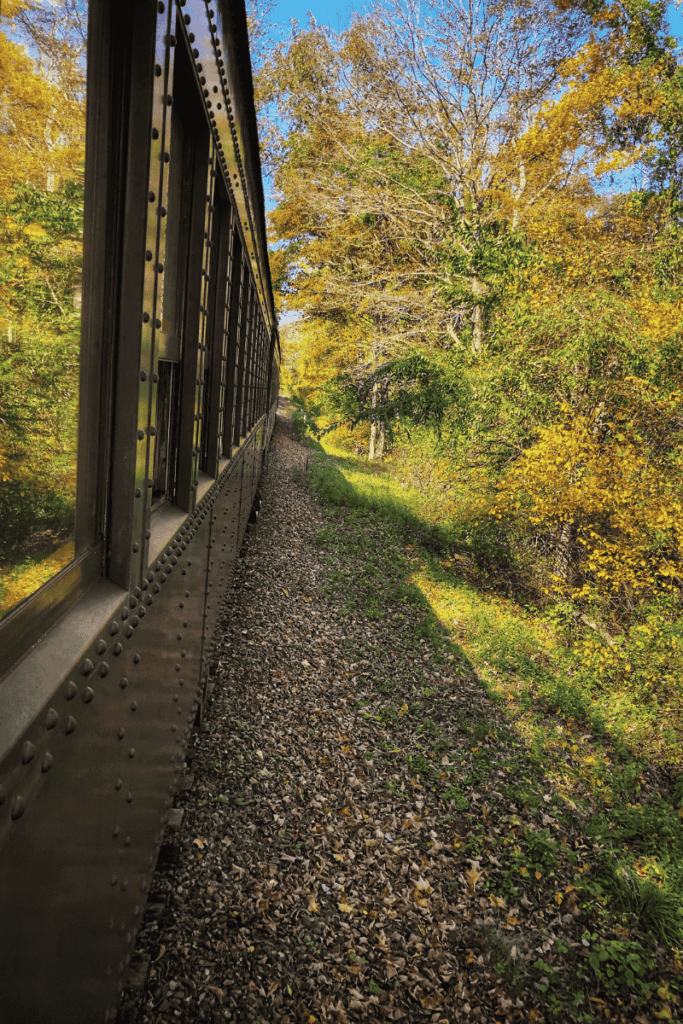 The Essex steam train winds through a forested track lined with golden autumn leaves and sunlit greenery in Connecticut.