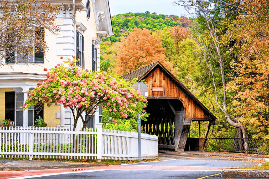 A charming covered bridge in Woodstock, Vermont sits beside a pale yellow house with black shutters and a blooming pink hydrangea tree, surrounded by early autumn foliage.