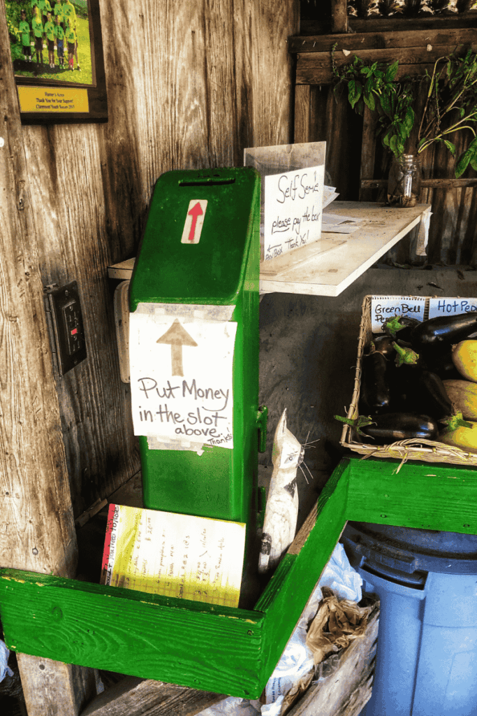 A small green honor system payment box with handwritten signs sits next to fresh produce at a self-serve farm stand.
