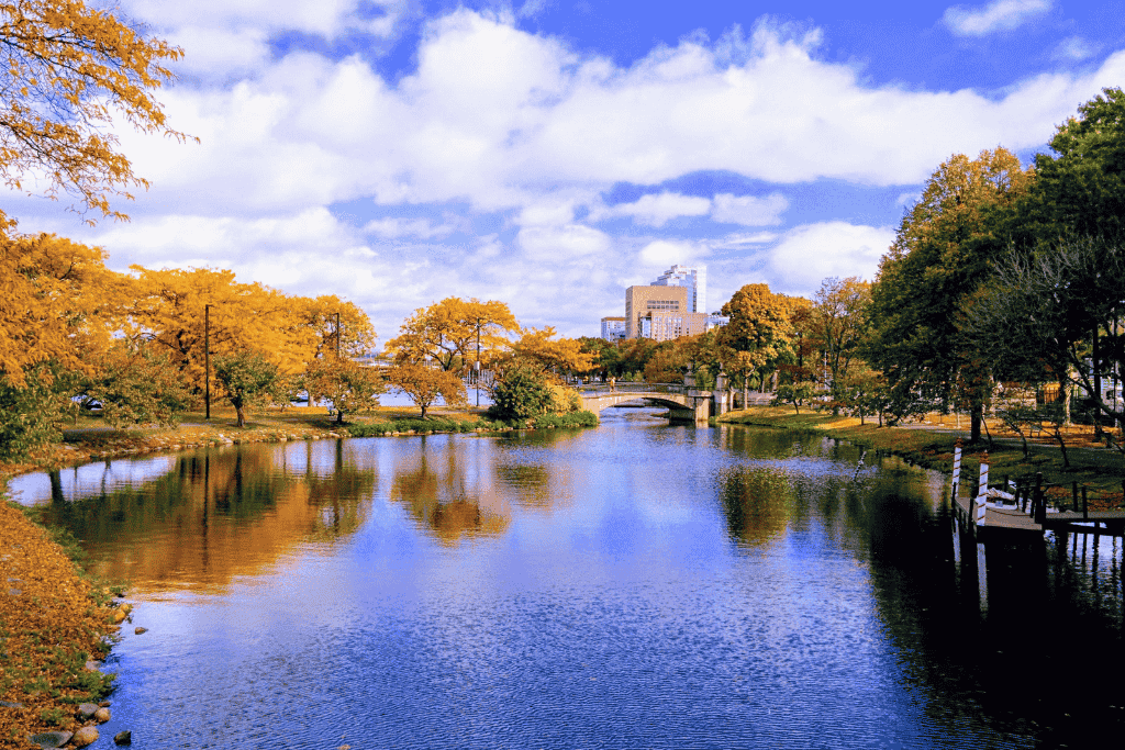 Scenic view of the Charles River Esplanade in Boston during fall, with golden trees reflecting in the calm water and a pedestrian bridge in the distance.