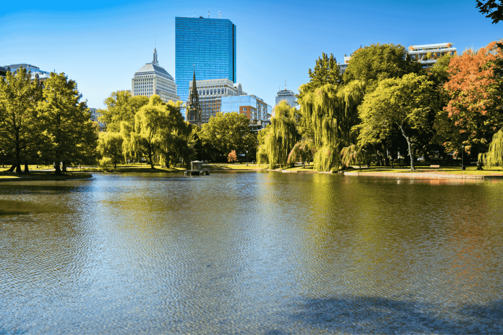 Sunny view of the Boston Public Garden lagoon with willow trees lining the water and the city skyline, including the Prudential Tower and John Hancock Tower, in the background.