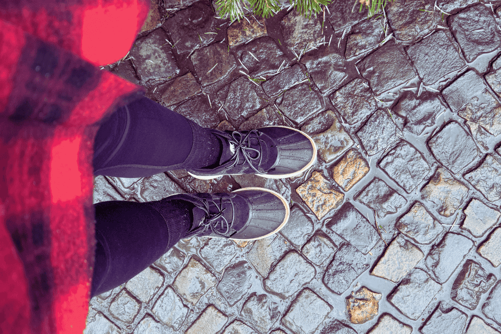 A top-down view of Kate's black winter boots on wet cobblestones next to fresh pine needles and evergreen branches.