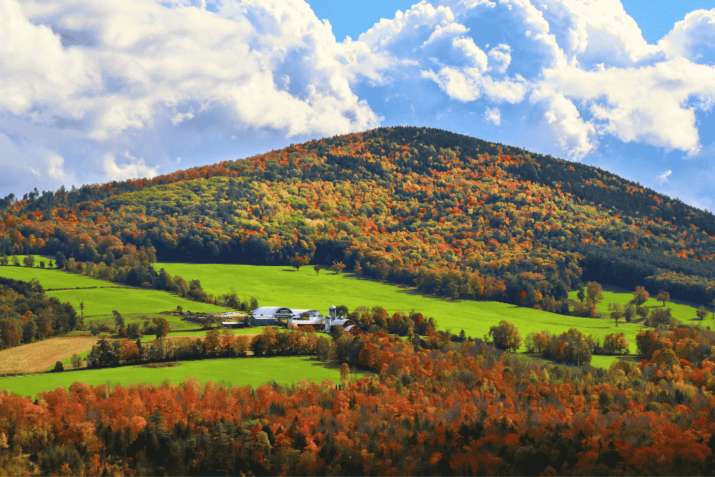 A hillside in Vermont glows with fall colors above a bright green valley and a small farm under a sky full of puffy clouds.