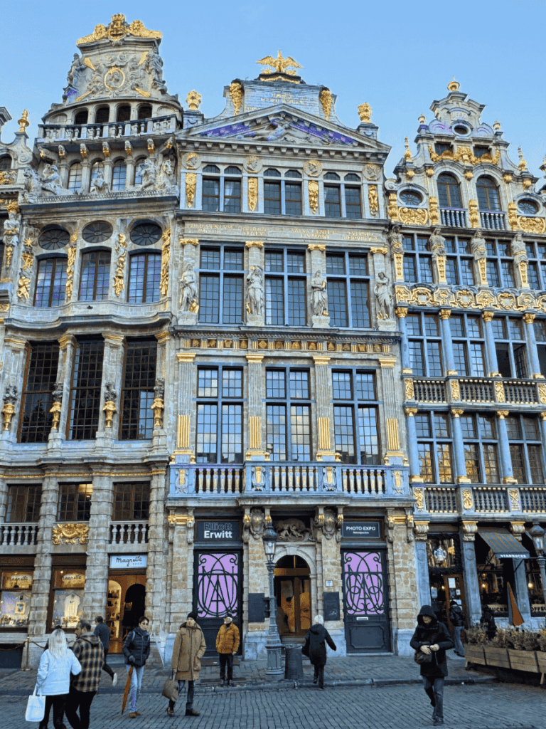 Ornate gilded façades shine in the Grand Place of Brussels.