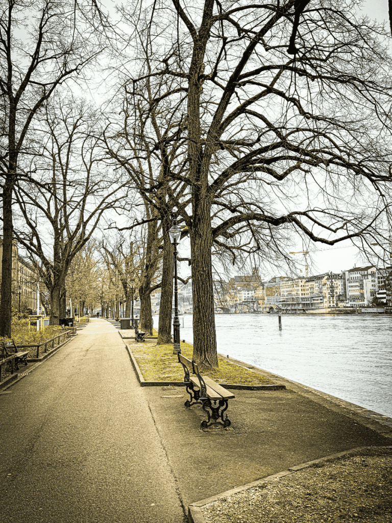 A quiet riverside path in Basel is lined with bare trees and empty benches, with colorful buildings reflecting across the water.