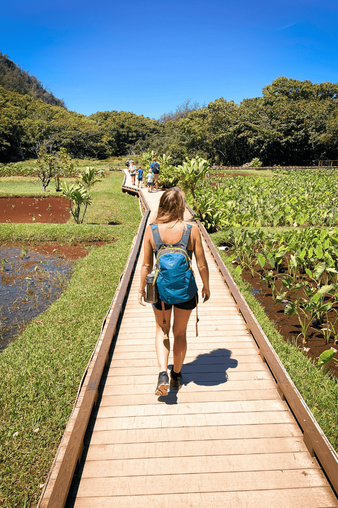 Kate walks along a raised wooden boardwalk through vibrant green taro fields and wetlands in Hā‘ena State Park, with other hikers in the distance under a clear blue sky.