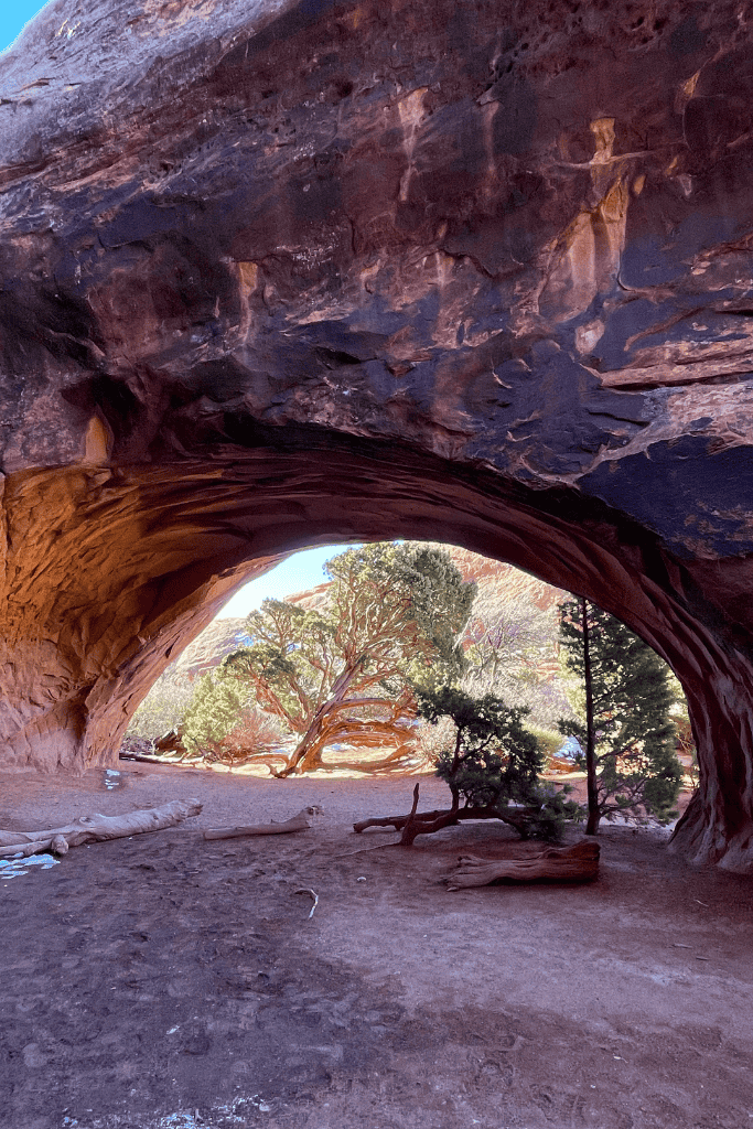 View from beneath the shaded interior of Sand Dune Arch in Arches National Park, looking out toward twisted juniper trees and sunlit red rock.