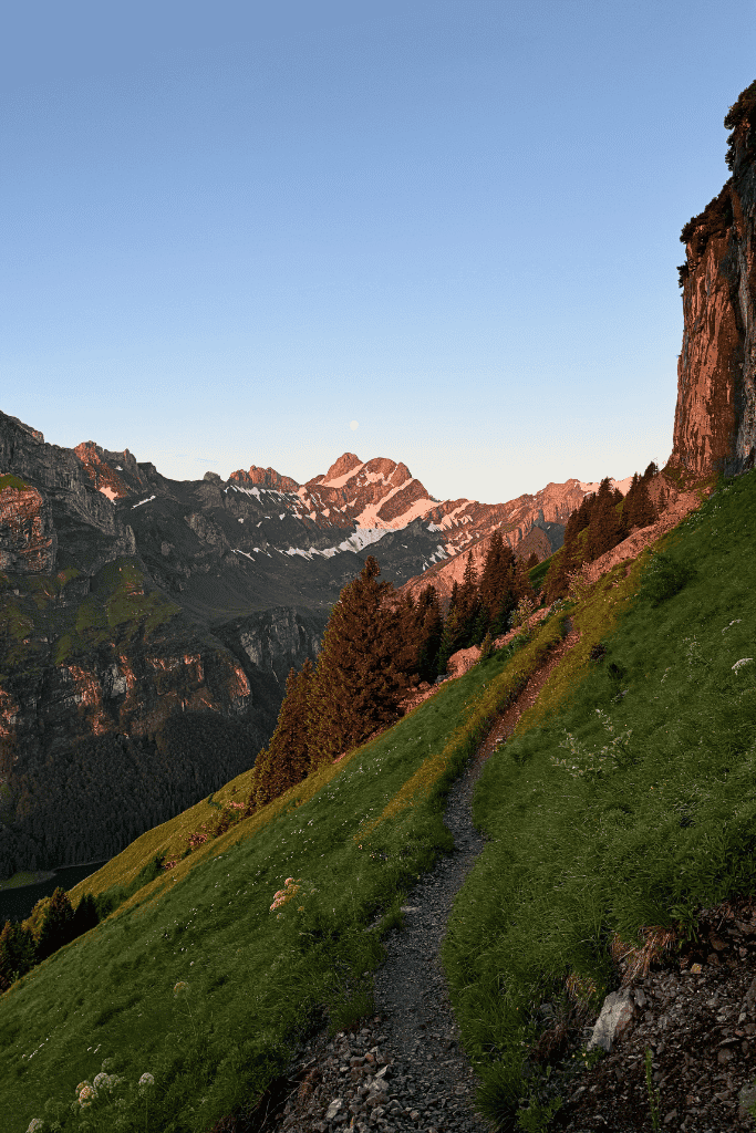 A narrow trail winds along a grassy slope at sunrise near Aescher, with glowing alpine ridges and silhouetted pine trees under a pastel sky.