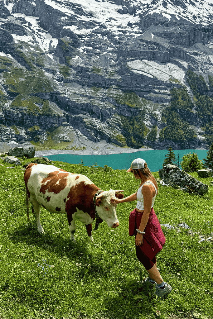 Kate gently pets a brown and white cow in an alpine meadow above Oeschinensee, with glacial mountains and the lake in the background.