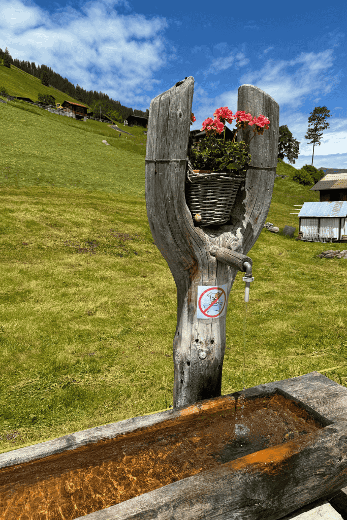 A carved wooden mountain fountain with flowing water and bright flowers sits in a green Swiss meadow beneath rolling hills.