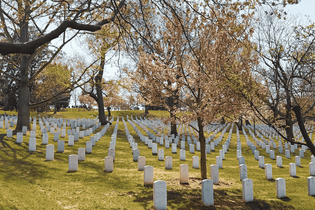 Rows of white headstones stretch across a grassy hillside at Arlington National Cemetery with blooming trees casting soft shadows in a quiet spring landscape.