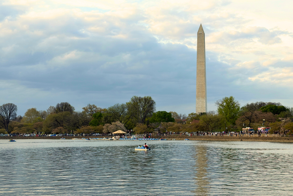 Tidal Basin with Paddle boats on the water with the Washington Monument standing in the background. 
