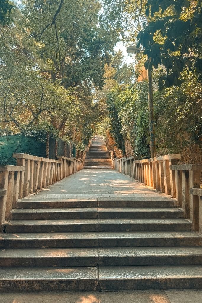 Long staircase that goes up hill and is flanked by trees and a railing.