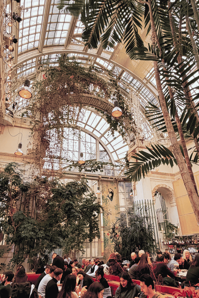 A large historic glass greenhouse with green metal framing stands beside an ornate palace as visitors walk along the path.

A busy café inside a glass greenhouse is filled with tall tropical plants, hanging vines, and people dining beneath the curved glass roof.